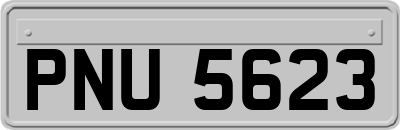 PNU5623