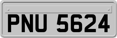 PNU5624