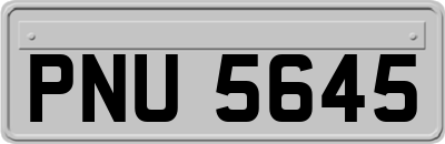 PNU5645