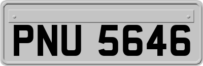 PNU5646