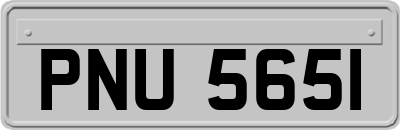 PNU5651