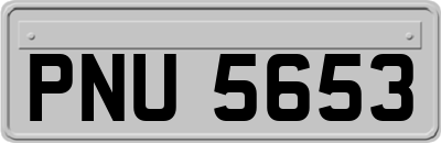PNU5653