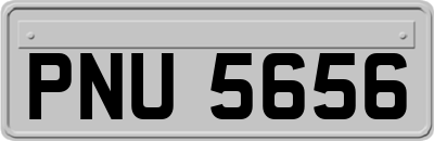 PNU5656