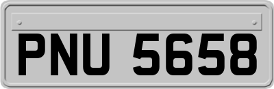 PNU5658