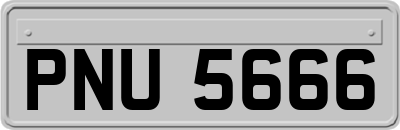 PNU5666