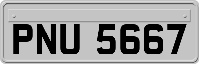 PNU5667