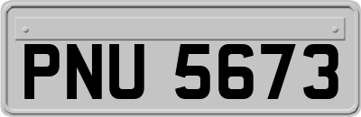 PNU5673