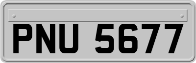 PNU5677