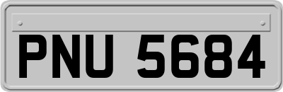 PNU5684