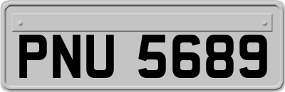 PNU5689