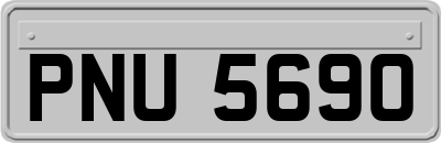 PNU5690
