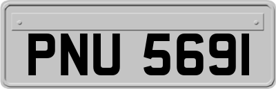 PNU5691