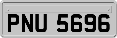 PNU5696