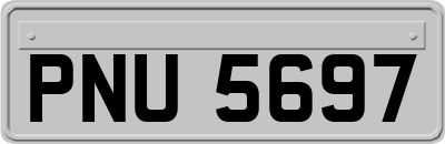 PNU5697