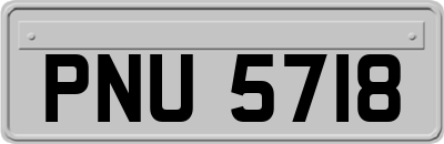 PNU5718