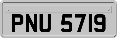 PNU5719