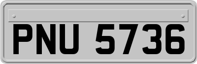 PNU5736