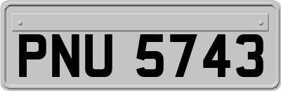PNU5743