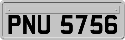PNU5756