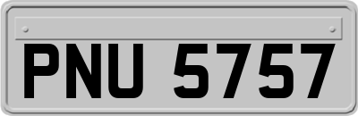 PNU5757