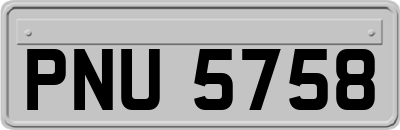PNU5758