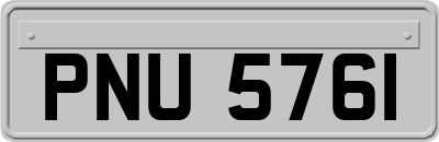 PNU5761
