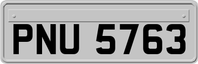 PNU5763