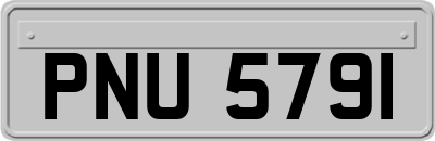 PNU5791