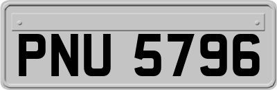 PNU5796