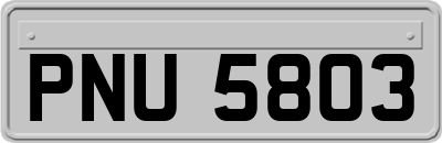 PNU5803