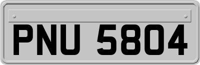 PNU5804