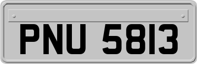 PNU5813