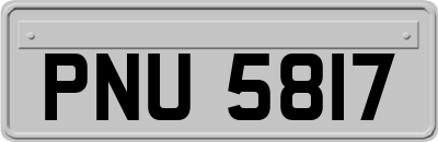 PNU5817