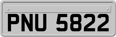 PNU5822