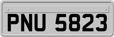 PNU5823