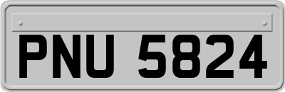 PNU5824