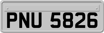 PNU5826