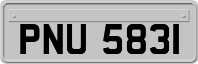 PNU5831