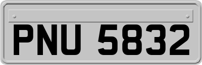 PNU5832