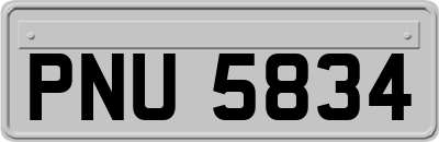 PNU5834