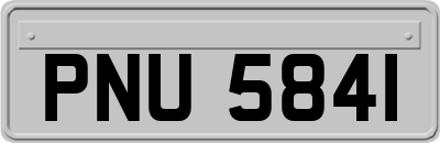PNU5841