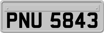 PNU5843