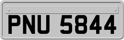 PNU5844