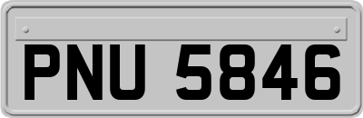 PNU5846