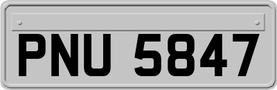 PNU5847