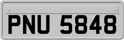 PNU5848