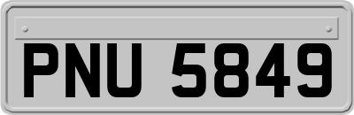 PNU5849