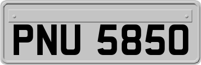 PNU5850