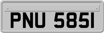 PNU5851