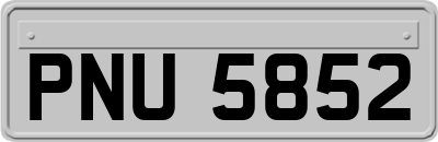 PNU5852